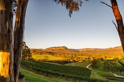 Taste Of The Blue Mountains - Lunch & Wine Tasting, Beer, Cider & Gin Tasting - Redcliffe Tourism 1