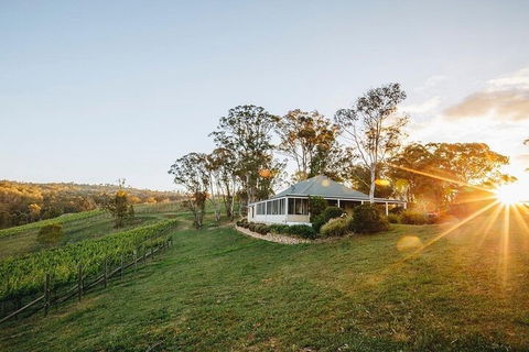 Taste Of The Blue Mountains - Lunch & Wine Tasting, Beer, Cider & Gin Tasting - Redcliffe Tourism 2