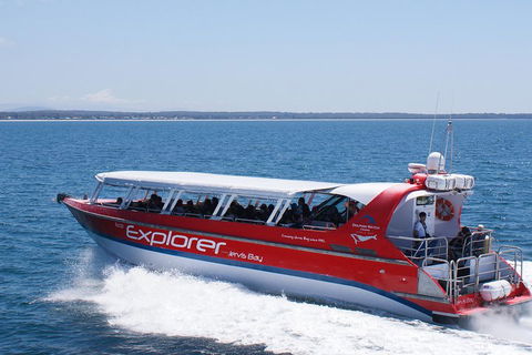 Whale Watching Jervis Bay - Redcliffe Tourism 1