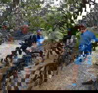 Fully guided E-Mountain Bike Tour on the beautiful Mornington Peninsula. - Redcliffe Tourism