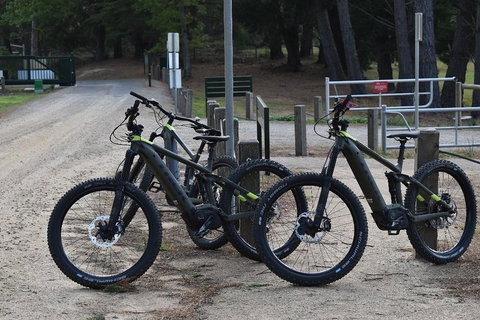 Fully Guided E-Mountain Bike Tour On The Beautiful Mornington Peninsula. - Redcliffe Tourism 2