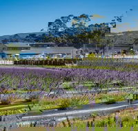 Private Hobart Discover South East Food and Scenic Tour - Redcliffe Tourism