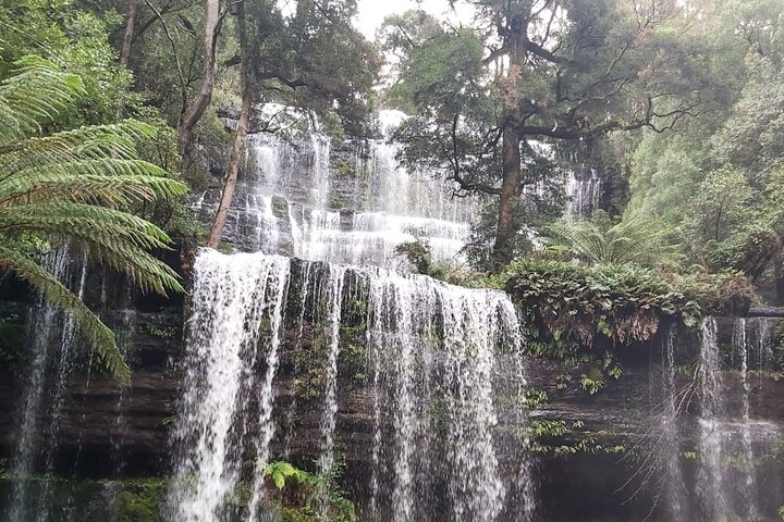  Redcliffe Tourism
