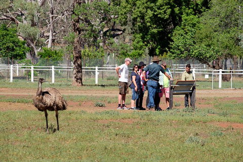 Yura Udnyu - Our Culture, Your Culture (Aboriginal Cultural Walk) - Redcliffe Tourism 1