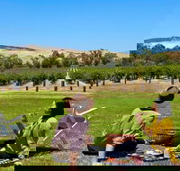 Private Picnic and Wine Tasting Experience in Barossa Valley - Redcliffe Tourism