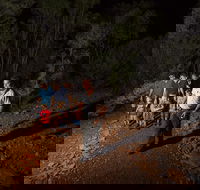 Alice Springs Desert Park Nocturnal Tour - Redcliffe Tourism