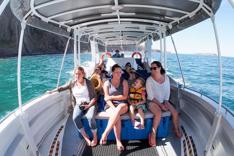 Seal Island Boat Tour From Victor Harbor - Redcliffe Tourism 1