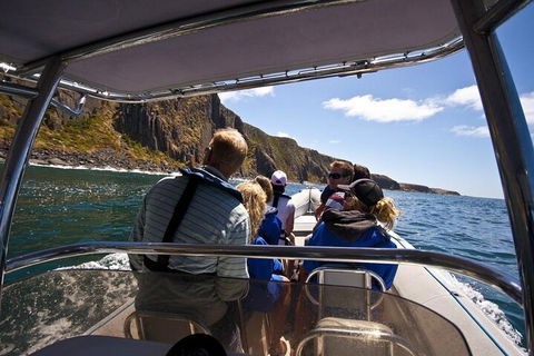 Seal Island Boat Tour From Victor Harbor - Redcliffe Tourism 2