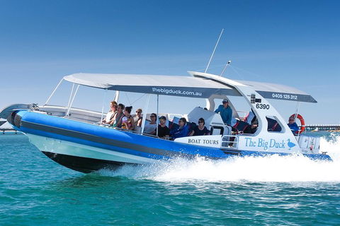 Seal Island Boat Tour From Victor Harbor - Redcliffe Tourism 3