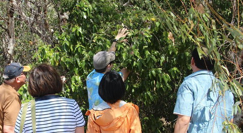 Magnetic Island Tour: Maggie Comprehensive - Redcliffe Tourism 4