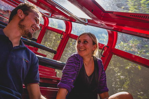 Blue Mountains Hop-on Hop-off Tour With Optional Scenic World Rides - Redcliffe Tourism 5