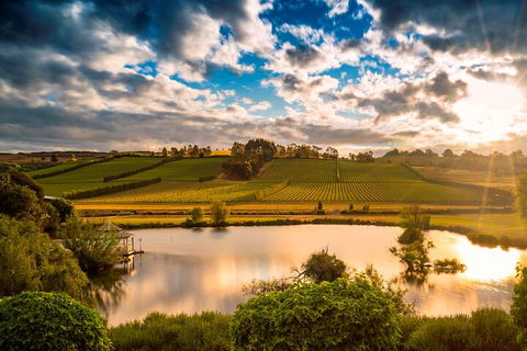 Josef Chromy Wines Winery Tour Including Tasting And Lunch - Redcliffe Tourism 3