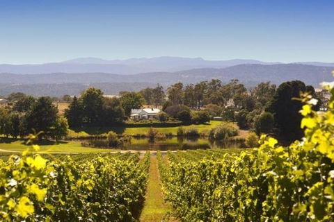 Josef Chromy Wines Winery Tour Including Tasting And Lunch - Redcliffe Tourism 4