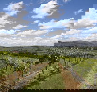 Hunter Valley Wine Tour from Sydney incl Lunch Cheese Chocolate and Distillery - Redcliffe Tourism