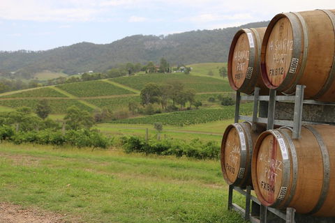 Hunter Valley Wine Tour From Sydney Incl Lunch, Cheese, Chocolate And Distillery - Redcliffe Tourism 5