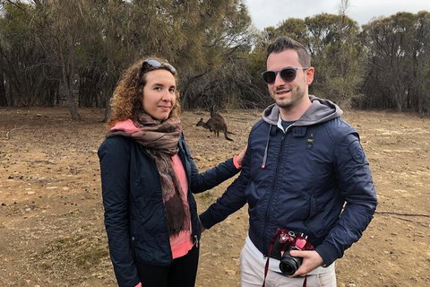 Kangaroo Island 4WD Tour - Best Of KI - Redcliffe Tourism 3