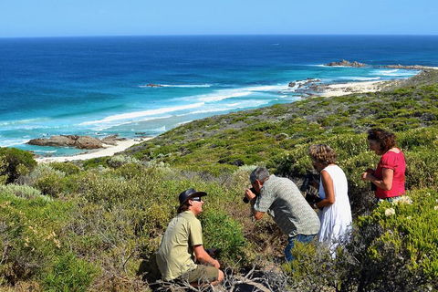 Margaret River Coastal And Wildlife Eco Trip From Busselton Or Dunsborough - Redcliffe Tourism 2
