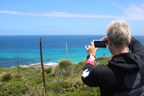 Margaret River Coastal And Wildlife Eco Trip From Busselton Or Dunsborough - Redcliffe Tourism 3